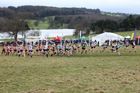 Junior womens 2018 Northern Cross Country Champs., Harewood House, Leeds. Photo: David T. Hewitson/Sports for All Pics